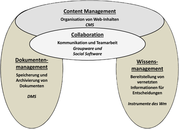 Content-, Web- und Wissensmanagement